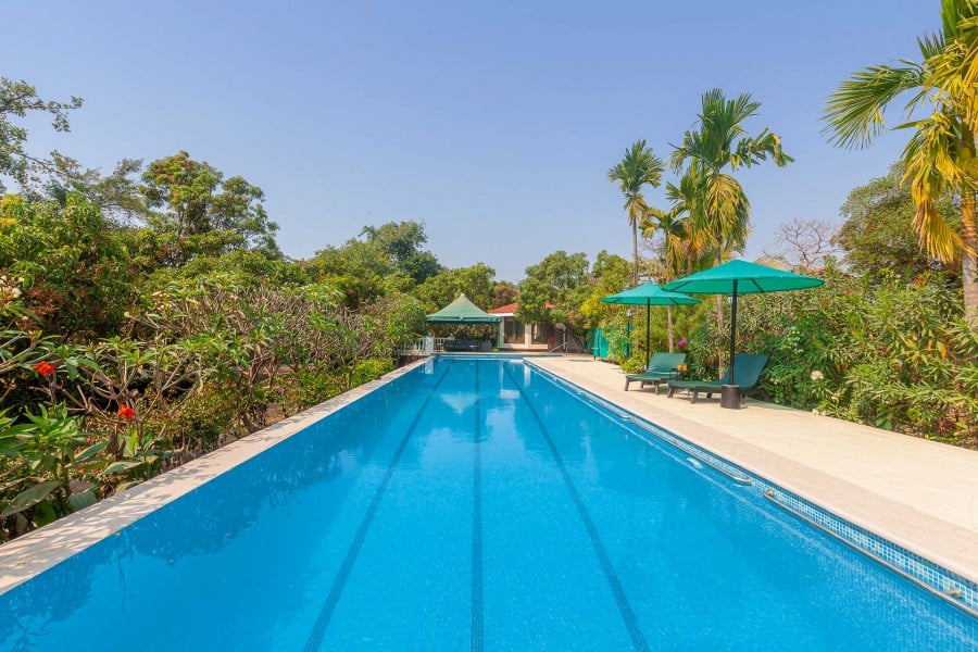 Read more about the article Casa Palmera
