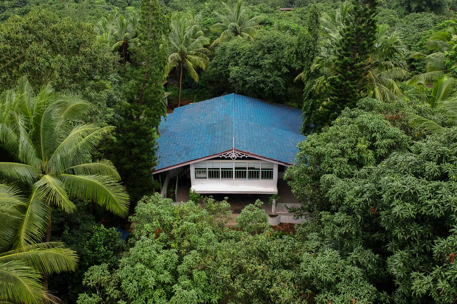 Read more about the article Vanya Farms