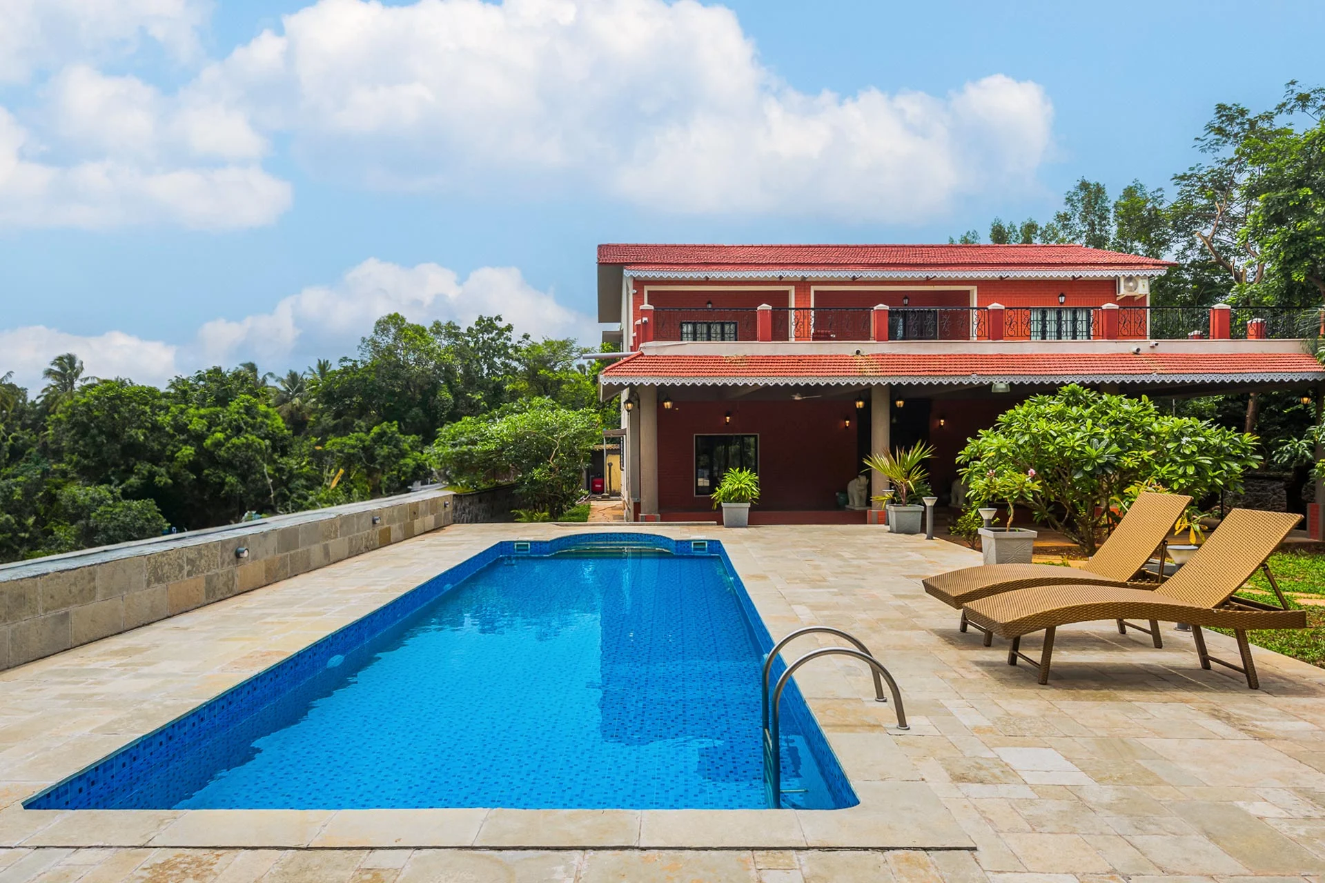 Read more about the article Greenscape Grandeur 🐾