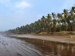 Read more about the article The Ultimate Guide to Alibaug: Beaches, Food, Forts & Private Villas