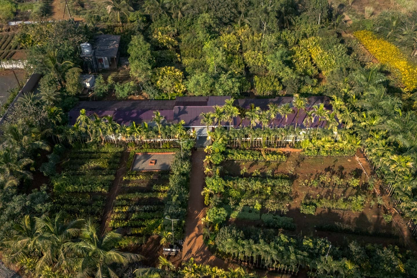 Read more about the article Green Heritage Villa 🐾